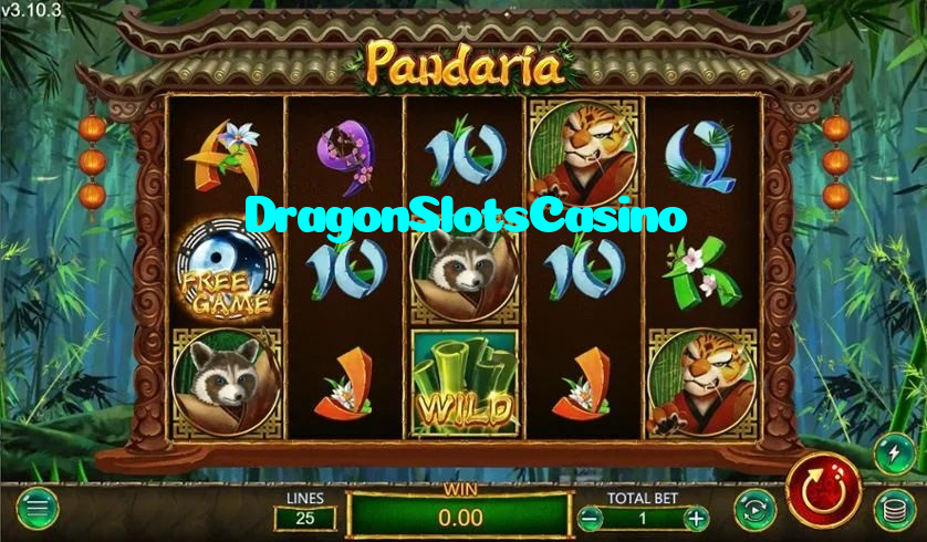 making first deposit on DragonSlotsCasino website using local payment methods in Pakistan